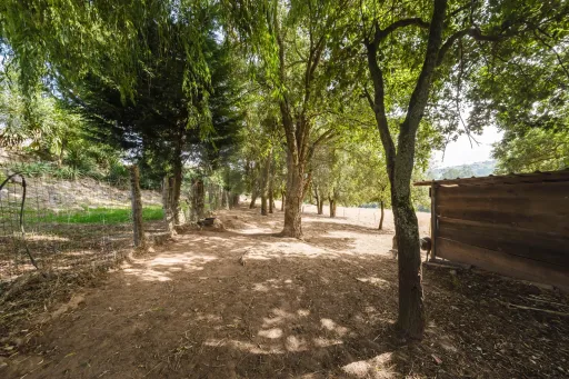 Propriedade única, a apenas 2 km de Alcobaça, com mais de 30.000 m² de terreno