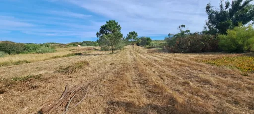 2 Plots of Land (Rural) in Serra dos Mangues, São Martinho do Porto