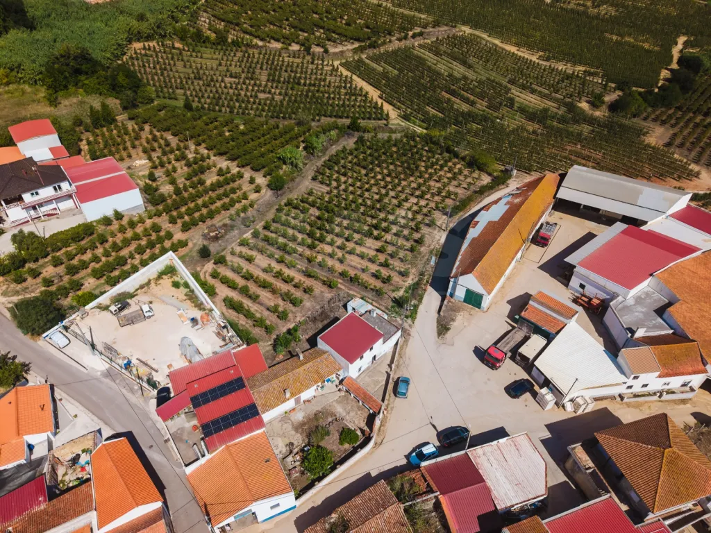 2 Moradias num terreno de 6117m2 | Carvalhal | Bombarral