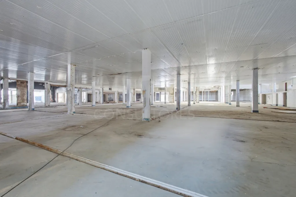Oportunidade de investimento em Peniche | 8.848 m² | A 150 metros da praia