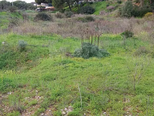 Lote de terreno Rustico com bom acesso e eletricidade