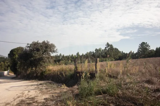 🌳 Terreno Misto – Surraipas, Freguesia de Olhalvo (Alenquer)