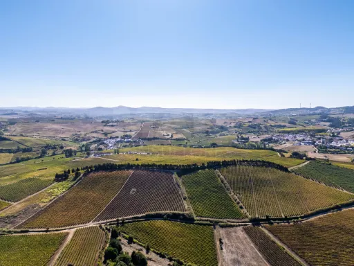 Urban Plot - Aldeia Galega da Merceana, Alenquer