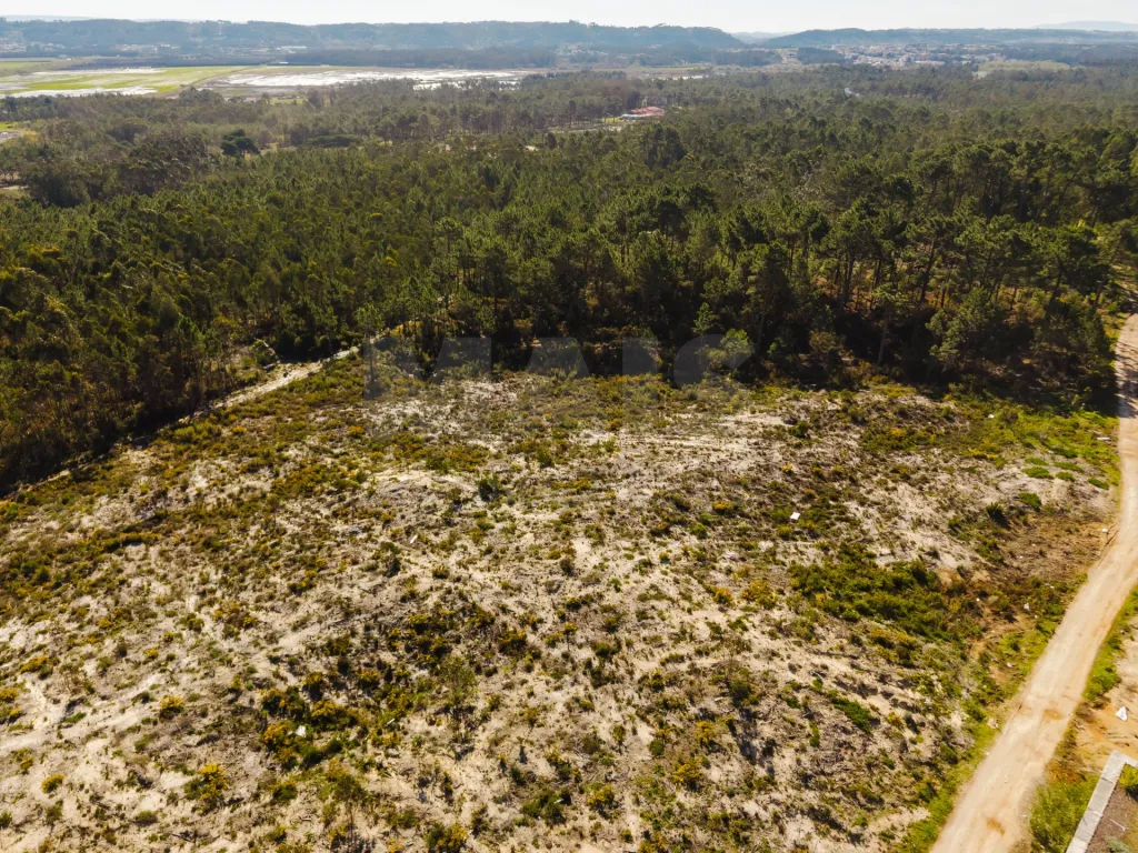 Terreno com Viabilidade para 7 Moradias | Salir do Porto