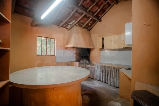 Quintinha T3 com 7.616 m² de terreno urbano e anexos (Casal do Rei)