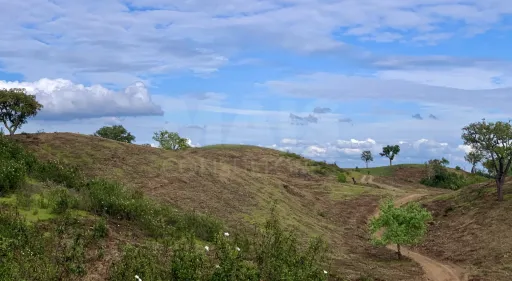 Herdade  com 40,85 hectares em São Bartolomeu da Serra, Santiago do Cacém