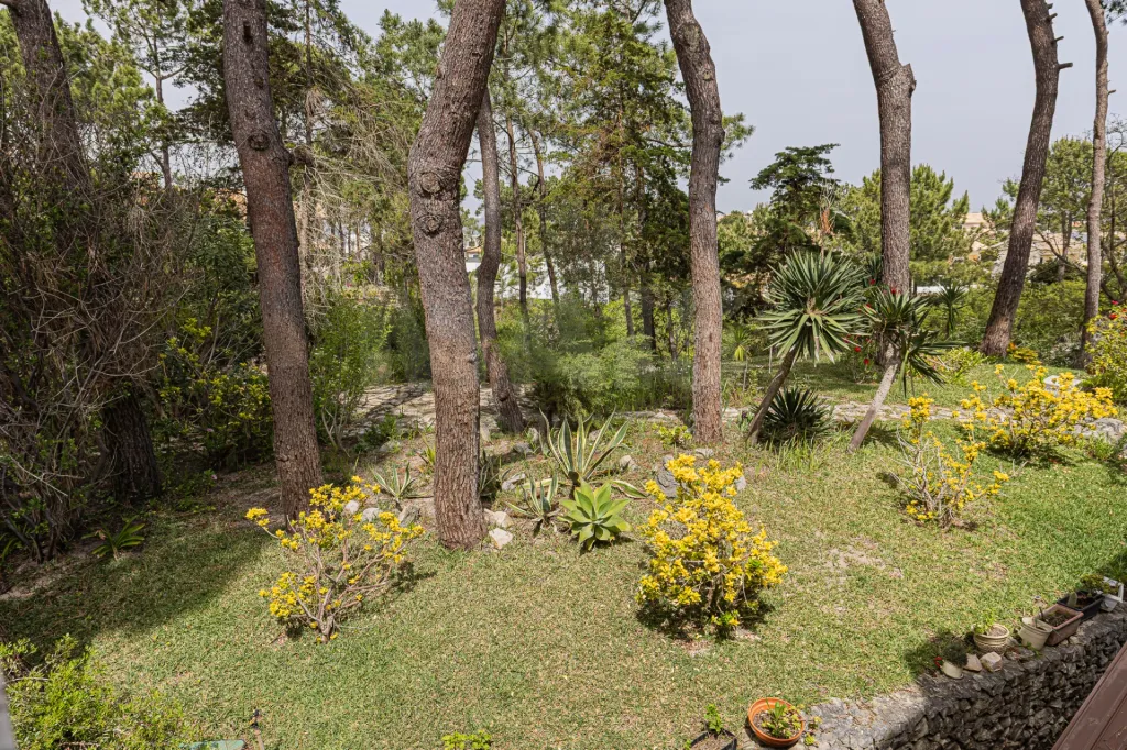 Moradia Contemporânea com terreno 700m2 em Soltroia – Próxima da Praia