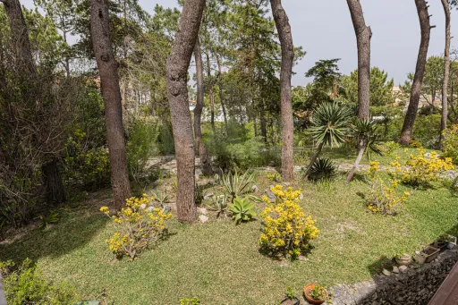 Moradia Contemporânea com terreno 700m2 em Soltroia – Próxima da Praia