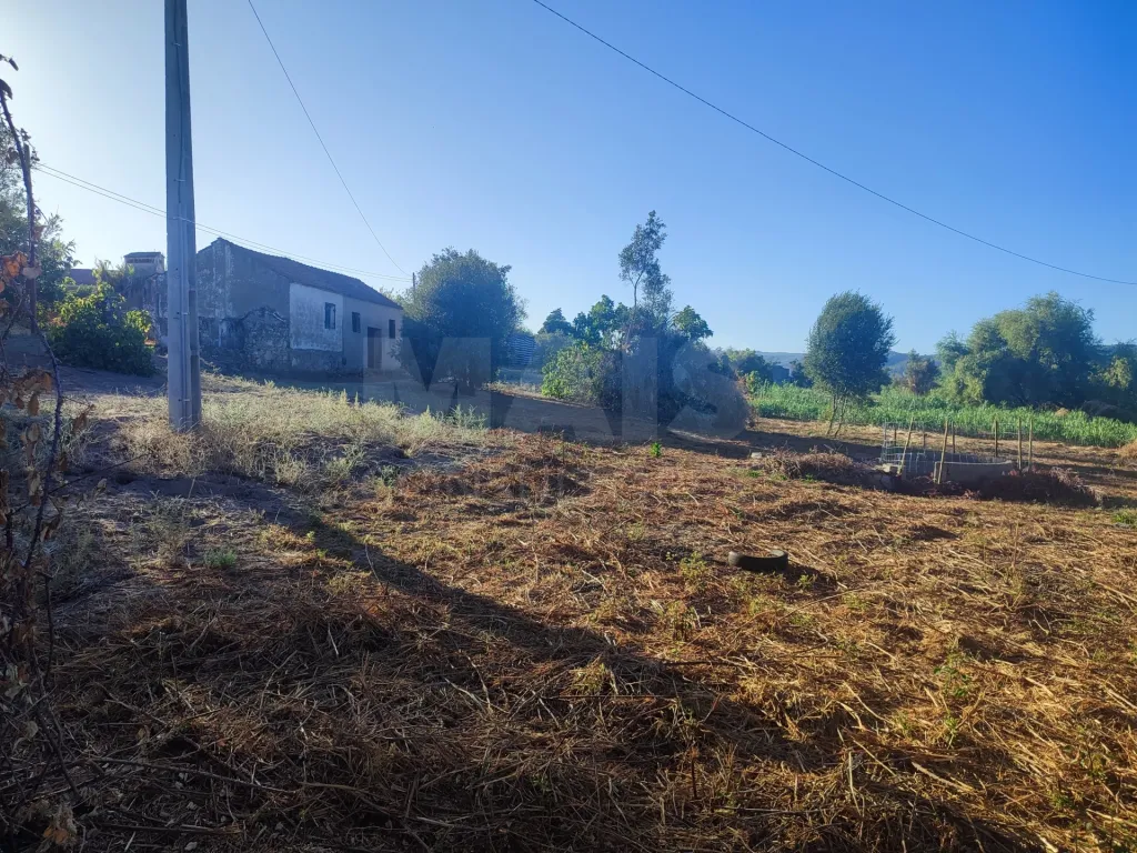 Quinta com moradia para recuperar na zona de Abrantes