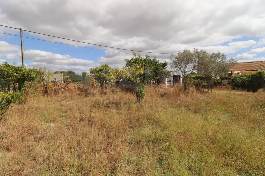 Terreno Rustico com 6240m2 em Salvaterra Magos