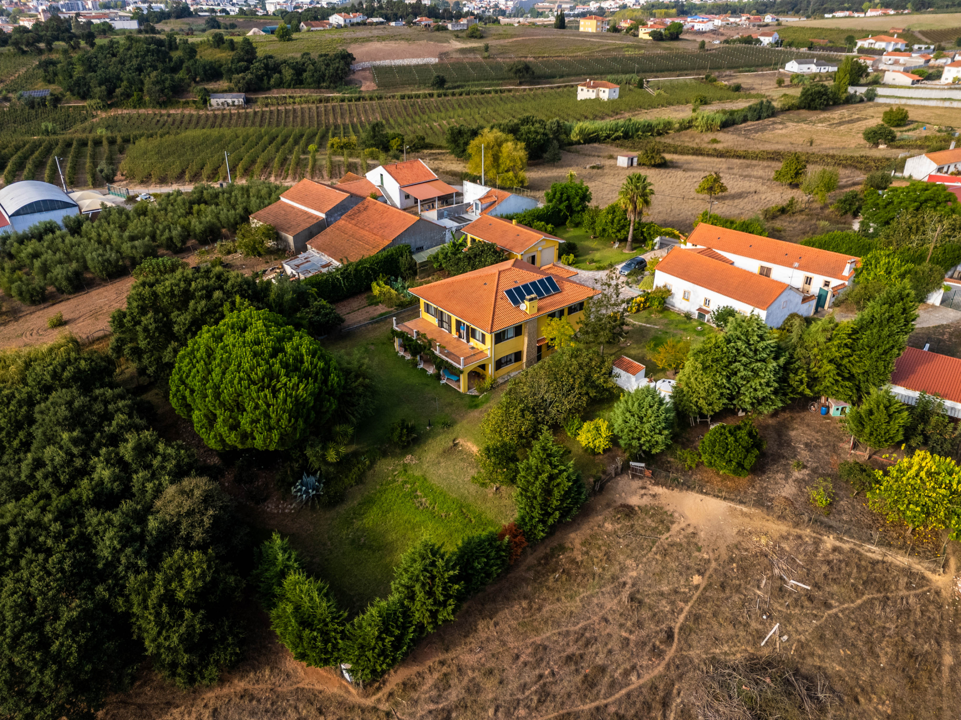 Propriedade única, a apenas 2 km de Alcobaça, com mais de 30.000 m² de terreno