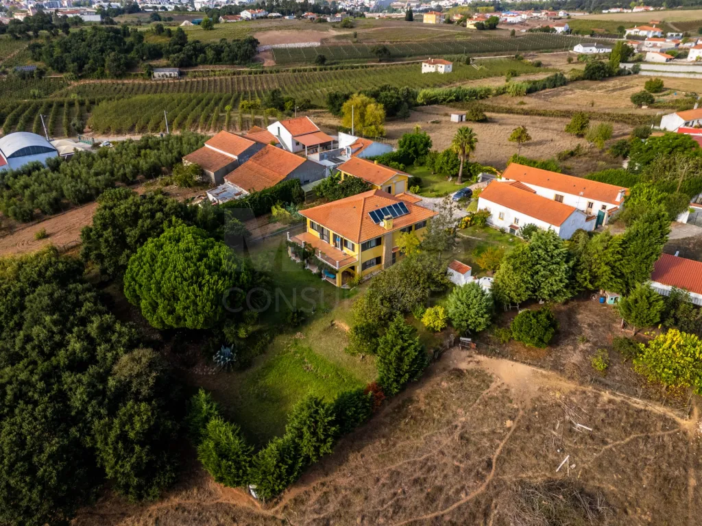 Propriedade única, a apenas 2 km de Alcobaça, com mais de 30.000 m² de terreno