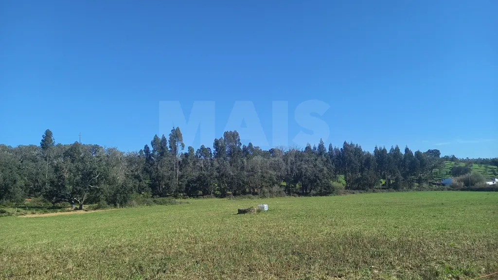 Herdade de 30 hectares em Cercal do Alentejo, Santiago do Cacém, Setúbal