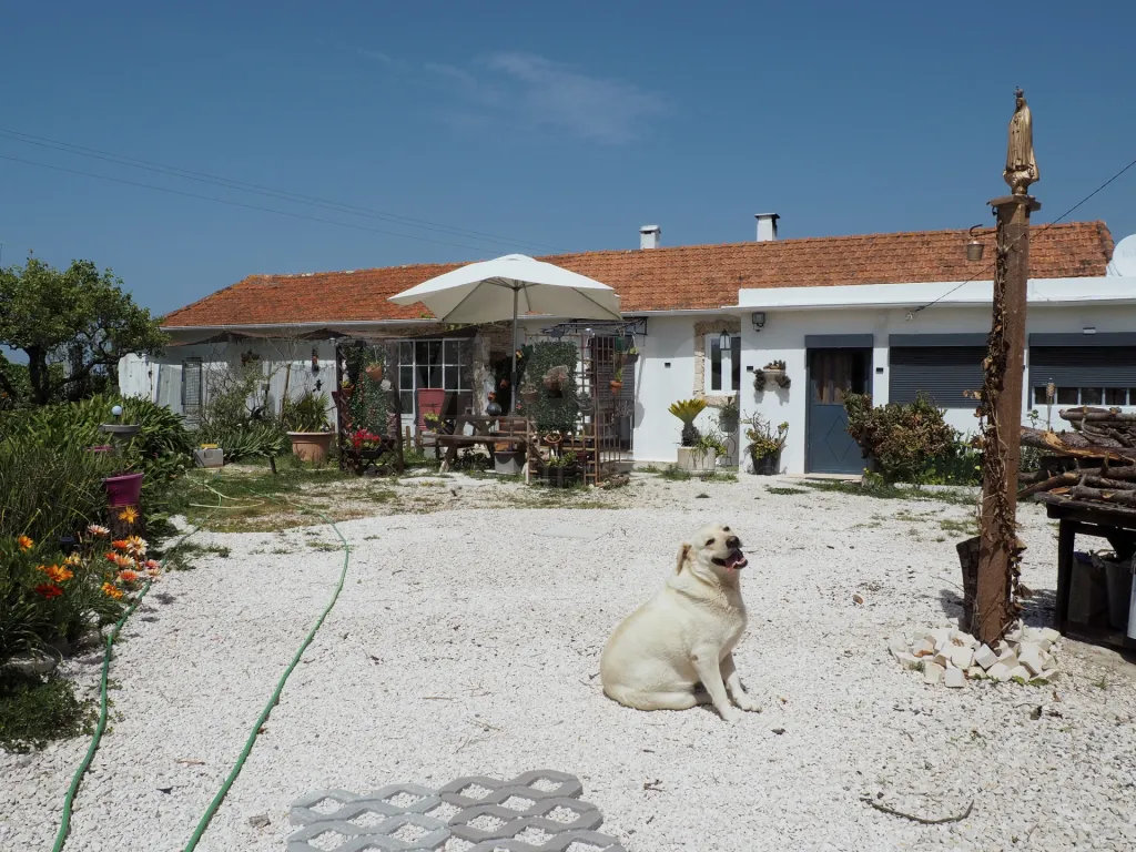 Moradia T2 na Cela com um excelente espaço exterior