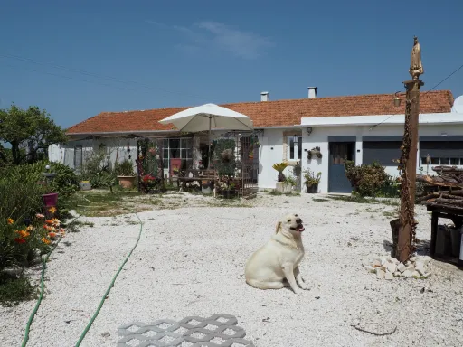 Moradia T2 na Cela com um excelente espaço exterior