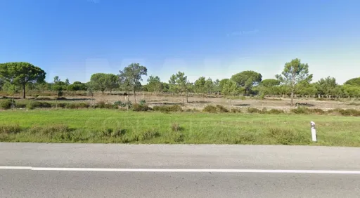 Excelente Oportunidade de Investimento em Grândola: Terreno com 26.215 m² e Acesso Direto ao IC1