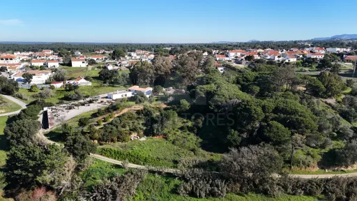 Terreno Rústico em Alfarim