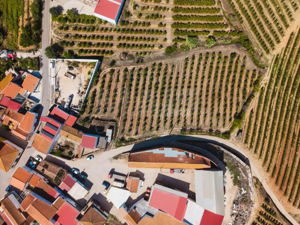2 Moradias num terreno de 6117m2 | Carvalhal | Bombarral