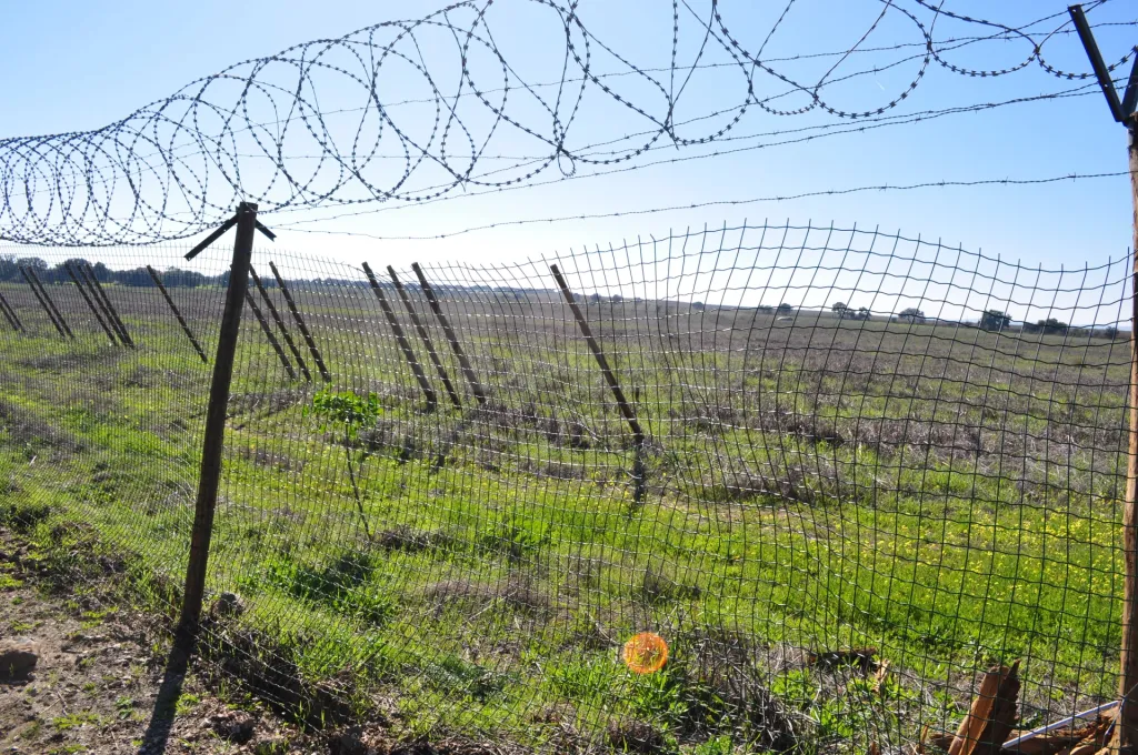 Fabulosa Herdade em Reguengos Monsaraz junto à Herdade do Esporão 105 ha