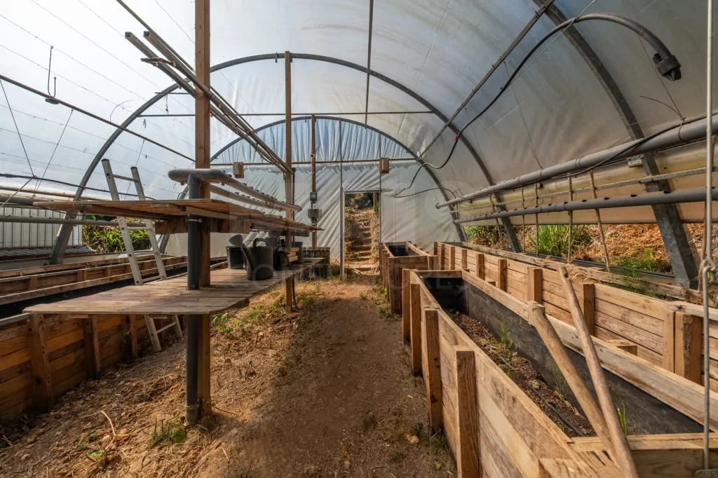 Terreno Agrícola na Fanadia | 16.100 m² de Potencial e Infraestruturas Preparadas