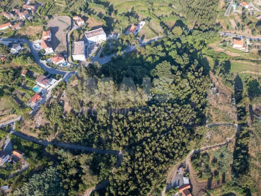 Grande Terreno em Penafiel (14.170 m²)