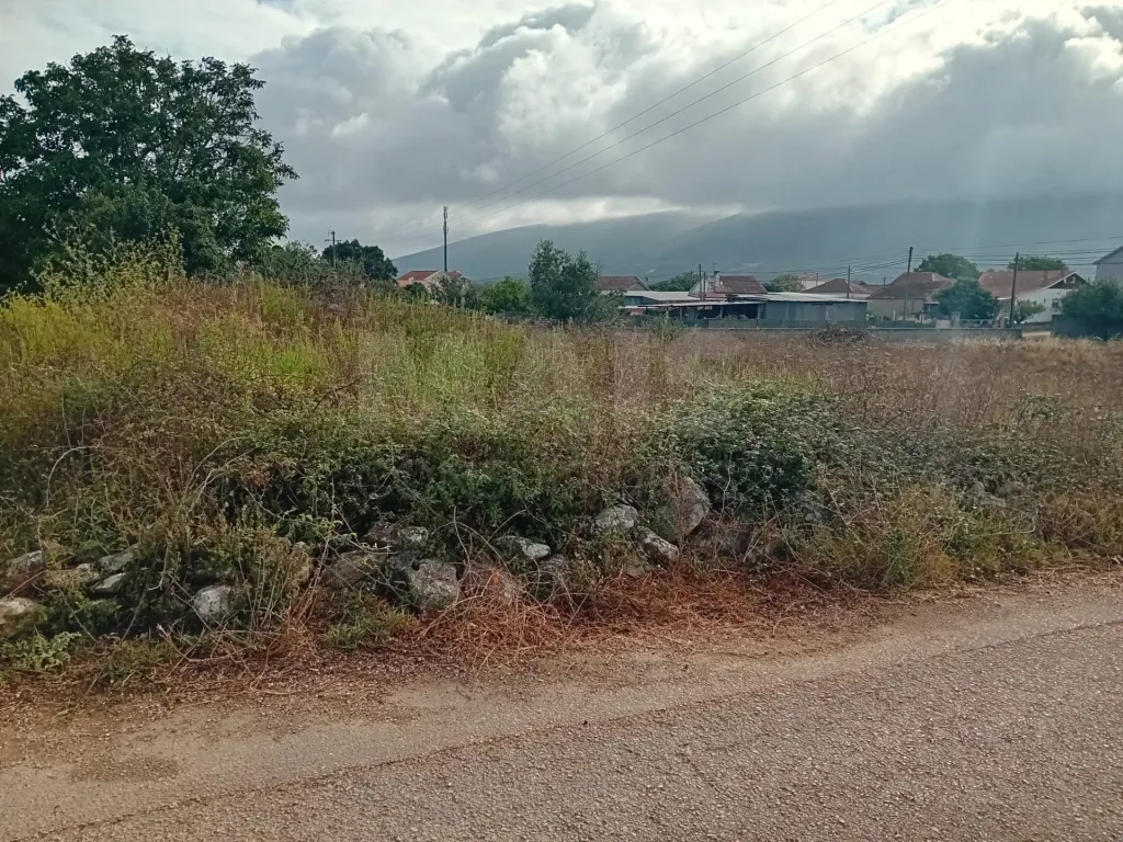 Terreno urbanizável de 1.712 m² com projeto aprovado para duas moradias - Alcobaça