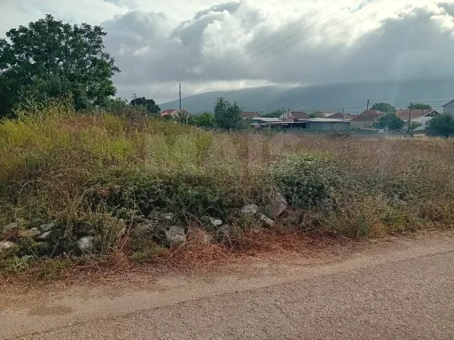 Developable land of 1.712 m² with approved project for two houses - Alcobaça