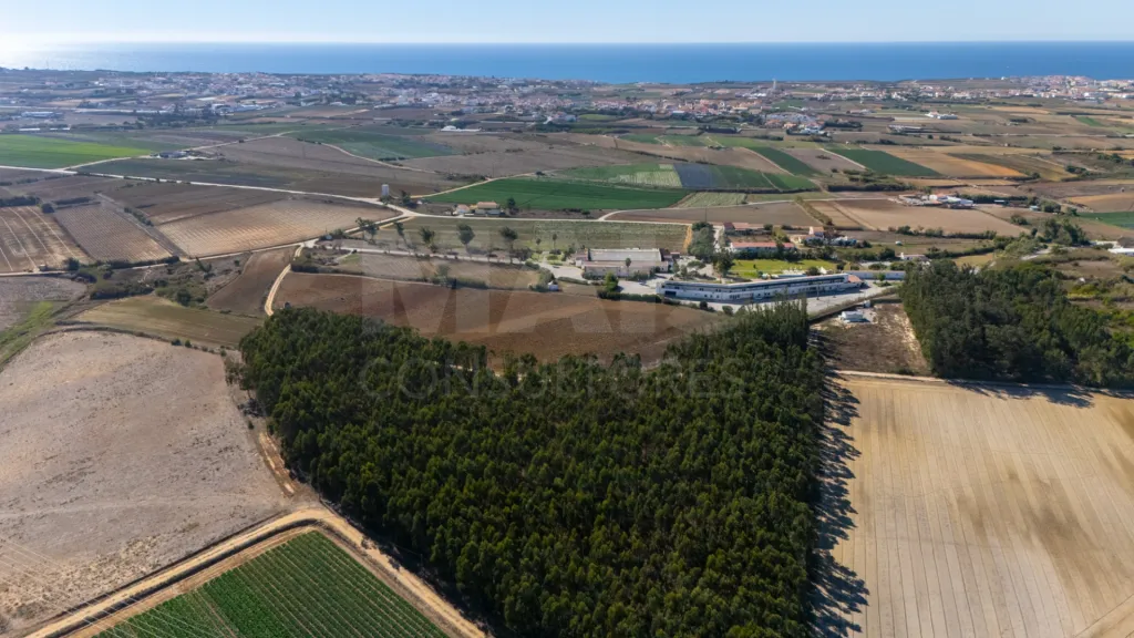 Parcela de terreno rústico de 2.350m2 em Atouguia da Baleia