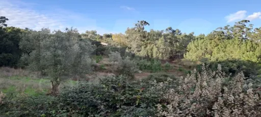 Refúgio perfeito a 15 minutos de Lisboa - Quinta em Loures - Lousa.