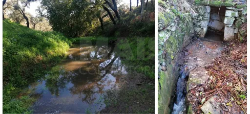 Herdade  com 40,85 hectares em São Bartolomeu da Serra, Santiago do Cacém