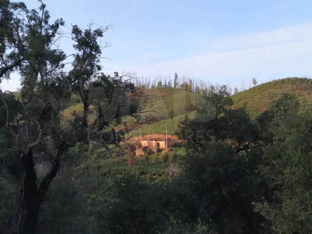 Monte Alentejano com 2 Ruínas