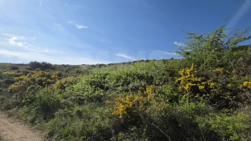 Rustic land with open views