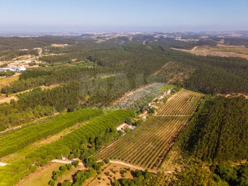 Terreno Agrícola na Fanadia | 16.100 m² de Potencial e Infraestruturas Preparadas