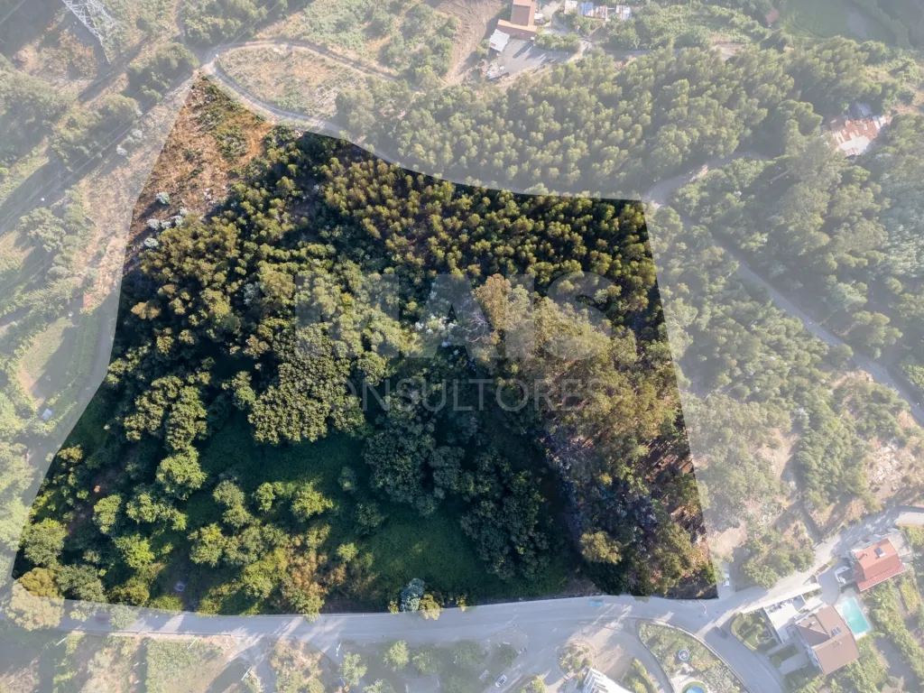 Grande Terreno em Penafiel (14.170 m²)