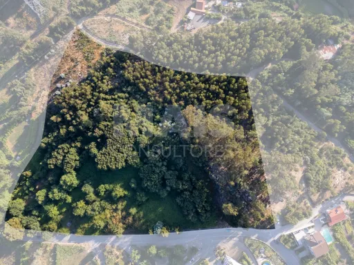 Grande Terreno em Penafiel (14.170 m²)