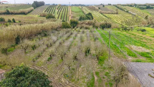 Terreno no centro da Usseira