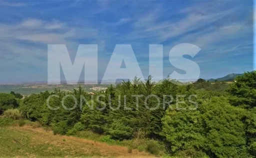 Building plot with 11640 M2 in Colares, Sintra