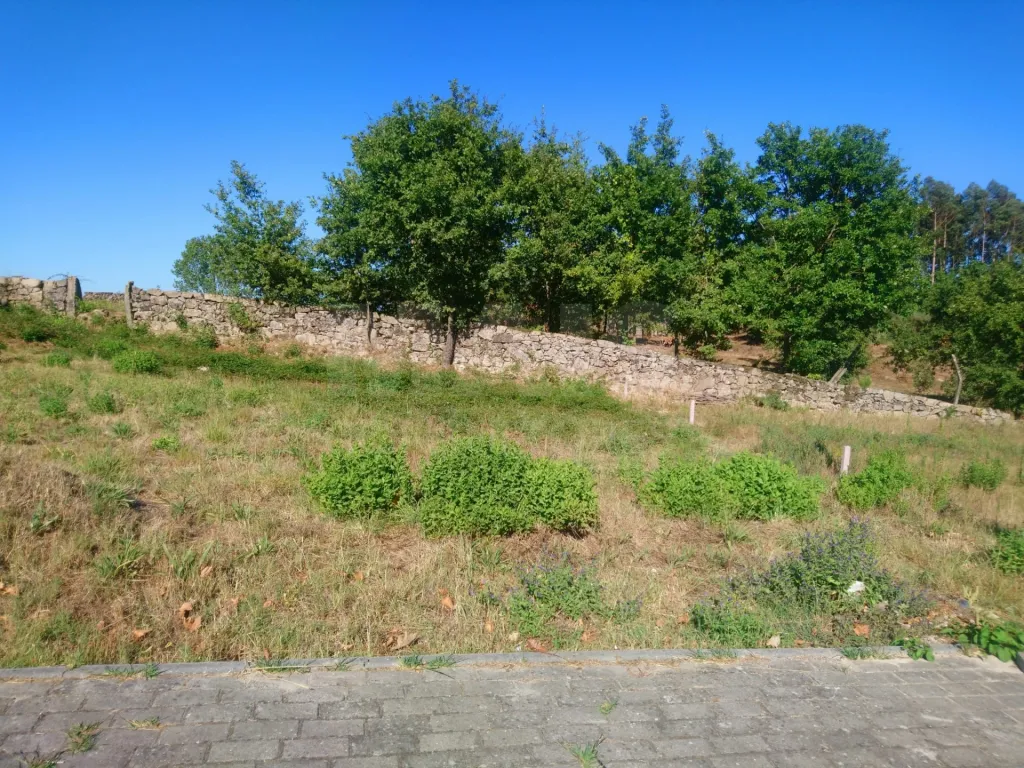 Terreno Urbano - Viseu - Oliveira de Frades