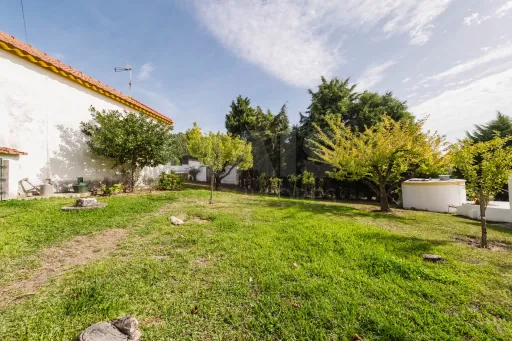Propriedade única, a apenas 2 km de Alcobaça, com mais de 30.000 m² de terreno