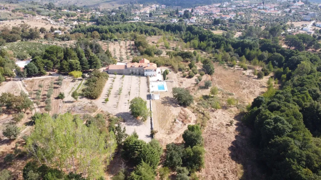 Quinta com 25–27 ha, vinha em produção, olival e piscina – Serra da Estrela, Gouveia