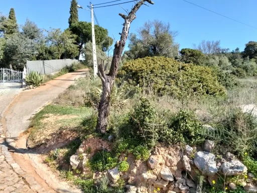 Lote de Terreno Rustico com vista mar