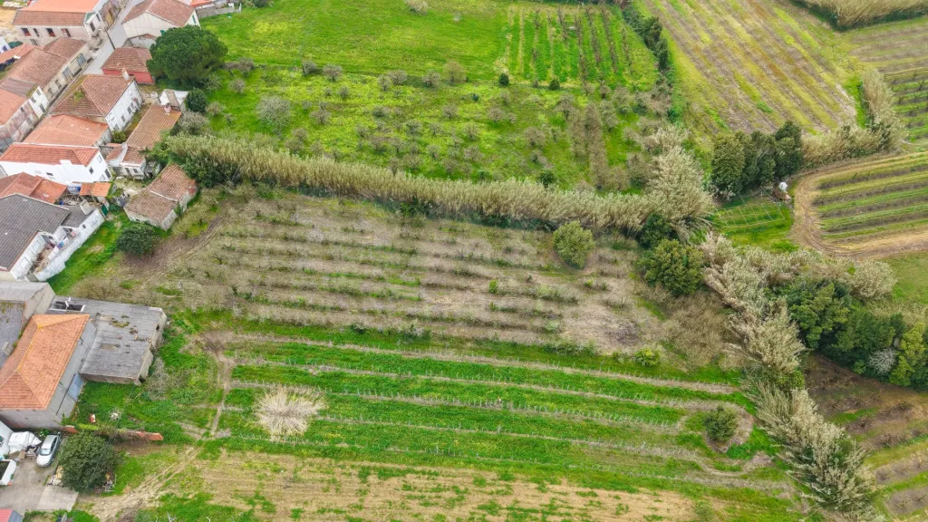 Terreno no centro da Usseira
