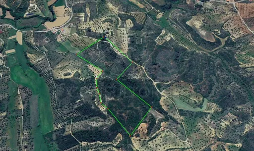 Terreno Rustico Ribeira Ruiva TORRES NOVAS