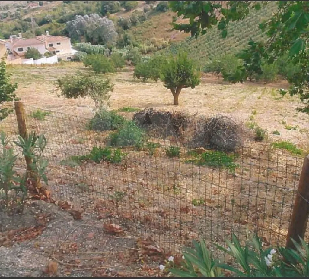 Terreno para construção