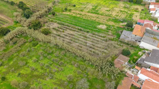 Terreno no centro da Usseira