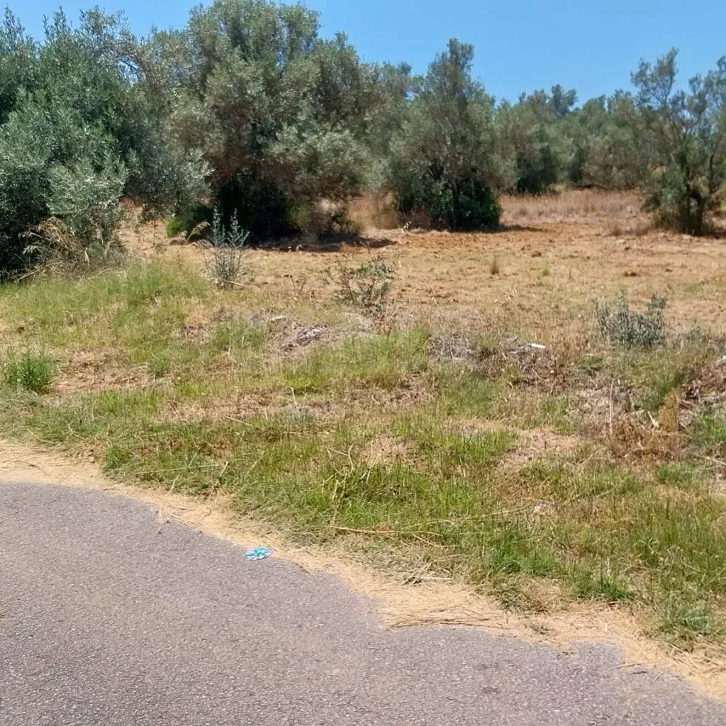 Lote de Terreno Rustico junto á Estrada Nacional 125