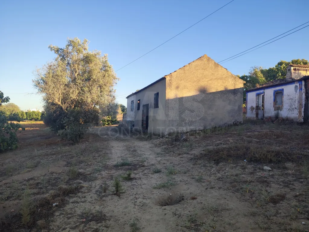Quinta com moradia para recuperar na zona de Abrantes