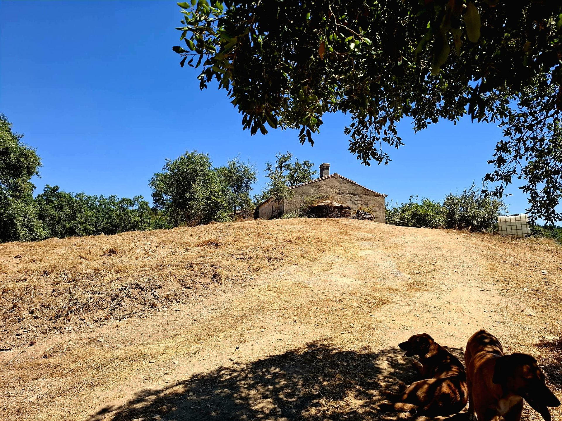 Farmland 73,7 ha - Relíquias, Odemira