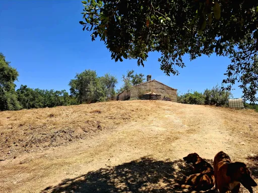 Herdade com 73,7 hectares em Relíquias, Odemira