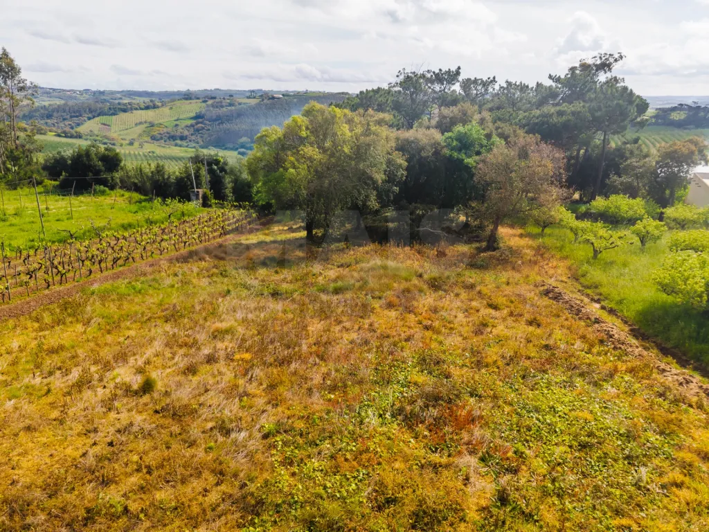 Terreno 2120m2 para construção | Azambujeira dos Carros | Bombarral